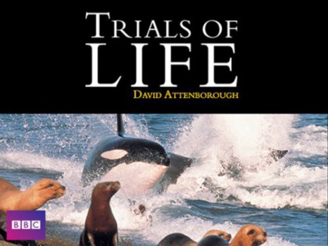 poster The Trials of Life - Season 01(1990)