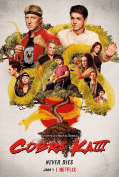 poster Cobra Kai(2018)