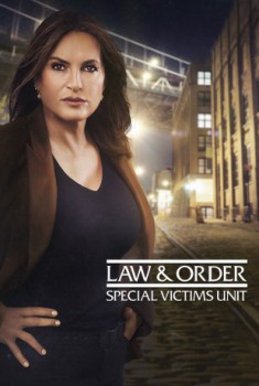 poster Law & Order: Special Victims Unit(1999)