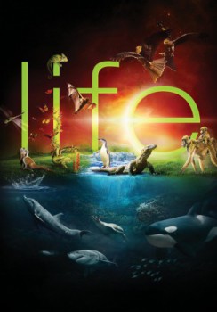 poster Life(2009)
