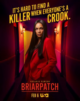 poster Briarpatch(2019)